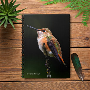 Caderno Espiral Um doce beija-flor-rufo Posse na árvore da Fruta