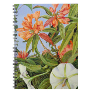 Caderno Espiral Um Javan Rhododendrum e Ipomoea