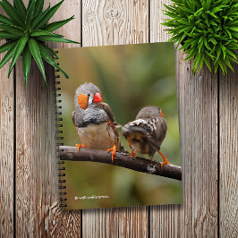 Caderno Espiral Um Par Cheiroso de Zebra Finches