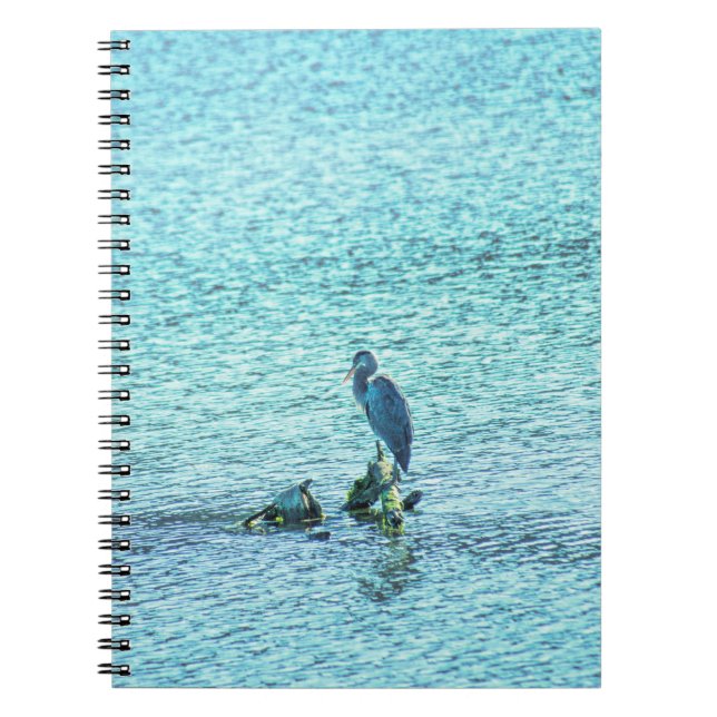 Caderno Espiral Um Pensador (Frente)
