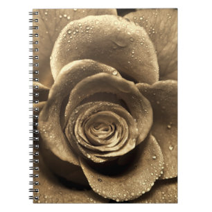 Caderno Espiral Um rosa antiquado se aproxima, molhado com água d'