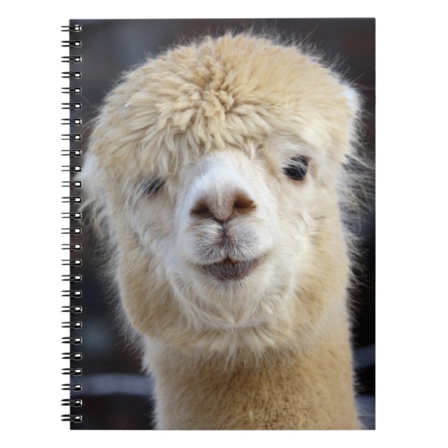 Caderno Espiral Um rosto fofo e fofinho de uma alpaca       (Frente)