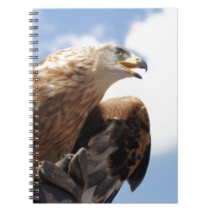Caderno Espiral Uma águia dourada majestosa