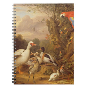 Caderno Espiral Uma arara, patos, papagaios e outras aves em terra