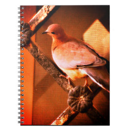 Caderno Espiral Uma Dove Adorável