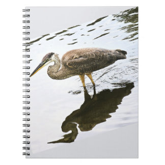 Caderno Espiral Uma Garça Azul Grande imatura (Ardea herodias)