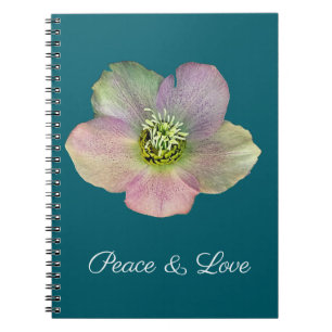 Caderno Espiral Uma Hellebore, uma Rosa da Quaresma