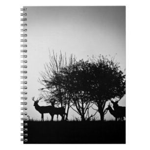 Caderno Espiral Uma imagem de alguns cervos na névoa da manhã