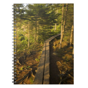 Caderno Espiral Uma passarela de madeira no Parque Nacional Acadia
