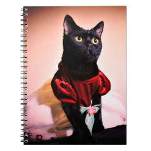 Caderno Espiral Uma Princesa Pequena