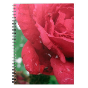 Caderno Espiral Uma Rosa vermelha