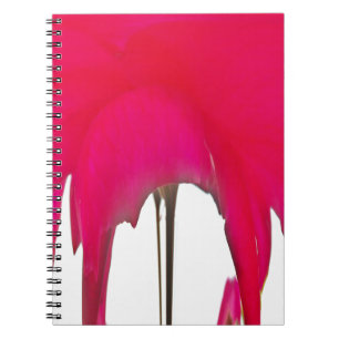Caderno Espiral Uma Rosa vermelha maravilhosa sob o céu branco