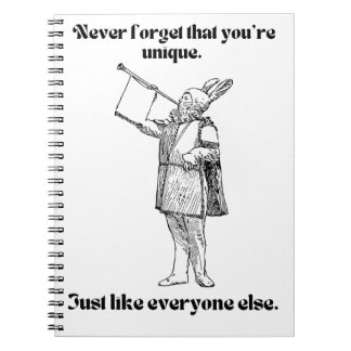 Caderno Espiral único como todos