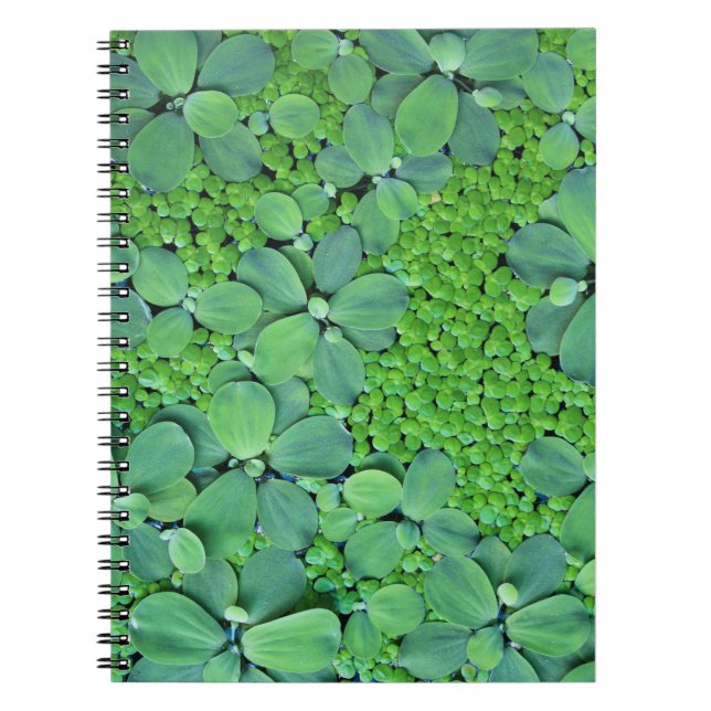 Caderno Espiral Unidade de água (Frente)