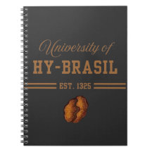 Universidade de Hy-Brasil, Est. 1325