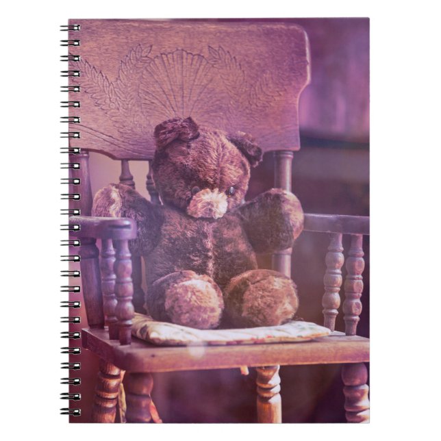 Caderno Espiral Ursinho (Frente)