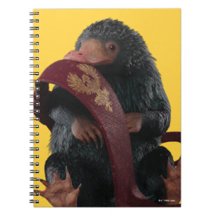 Caderno Espiral Ursinho Com Gráfico De Gravação