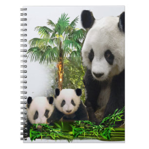 Caderno Espiral Ursinhos e filhotes