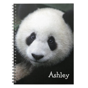 Caderno Espiral Urso de Panda