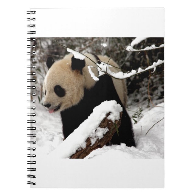 Caderno Espiral Urso de panda (Frente)