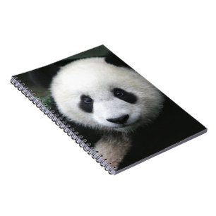 Caderno Espiral Urso de panda de sorriso