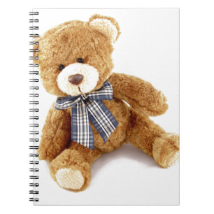 Caderno Espiral Urso de ursinho