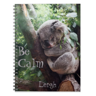 Caderno Espiral Urso Koala, Animais Bons, Diário,