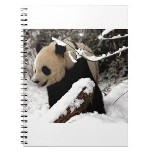 Caderno Espiral Urso Panda