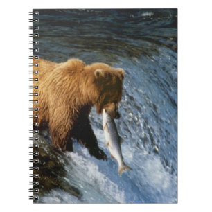 Caderno Espiral Urso Pardo do Alasca Capturando Salmão em Brooks