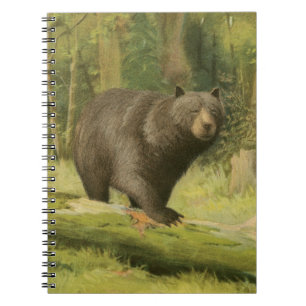 Caderno Espiral Urso Preto a Passar num Tronco de Árvore
