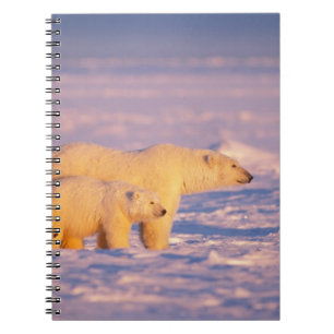 Caderno Espiral Ursoaica com filhotes de primavera no congelado