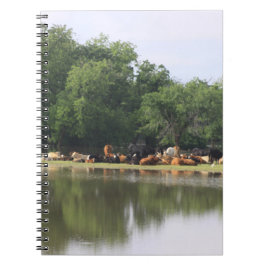 Caderno Espiral Vaca