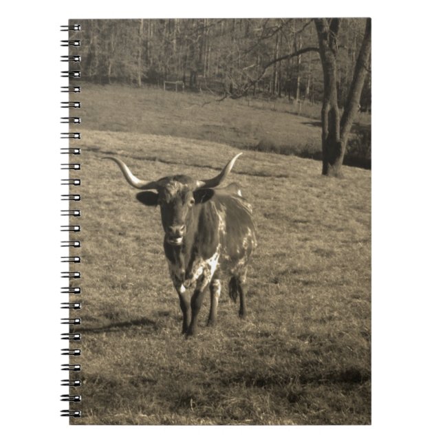 Caderno Espiral Vaca-boi rustica do Texas Longhorn (Frente)