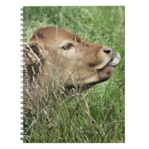CADERNO ESPIRAL VACA BONITO