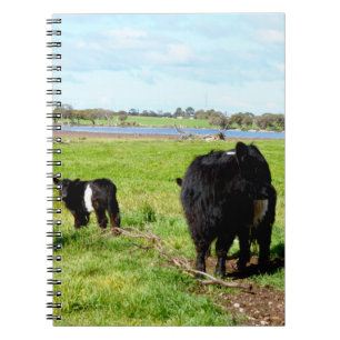 Caderno Espiral Vaca Múmia E Bebê Galloway, Notebook
