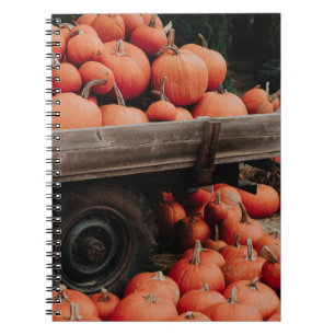 Caderno Espiral vagão de abóbora