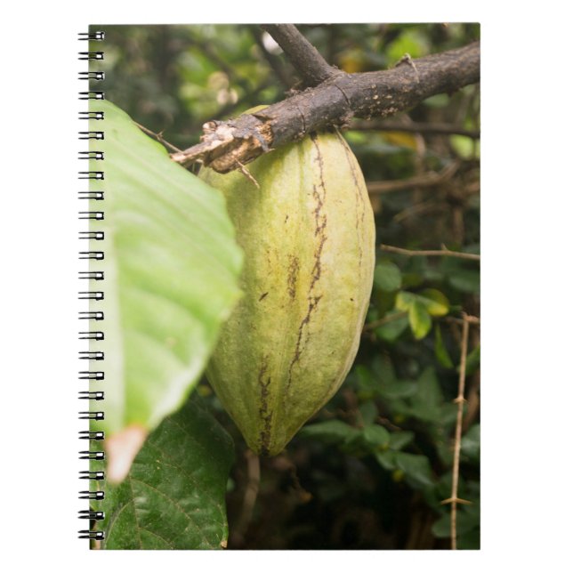 Caderno Espiral vagem de cacau (Frente)