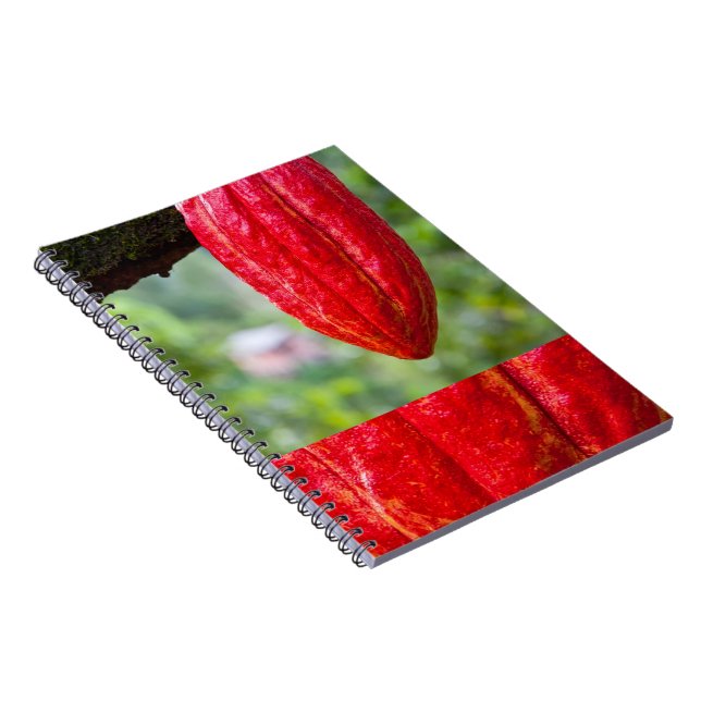Caderno Espiral vagem de cacau vermelha (Lado Direito)