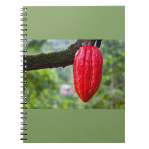 Caderno Espiral vagem de cacau vermelha