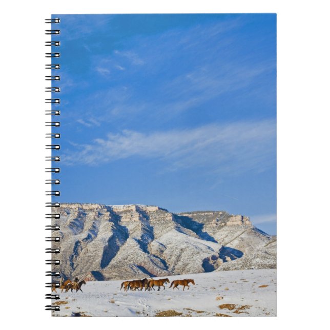 Caderno Espiral Vaqueiros com Rebanho de Cavalos (Frente)