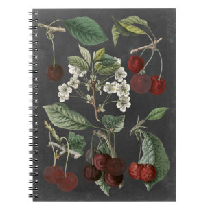 Caderno Espiral Variedades de Pomares I