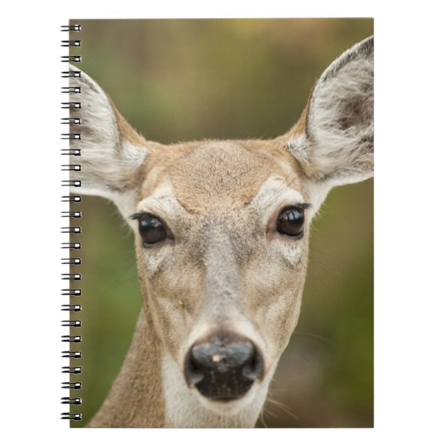Caderno Espiral Veado Branco (Frente)