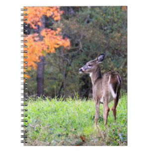 Caderno Espiral Veado Branco Próximo