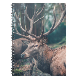 Caderno Espiral Veado grande e marrom com grandes rabos