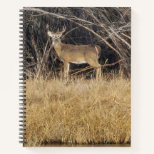 Caderno espiral Veado no Matagal