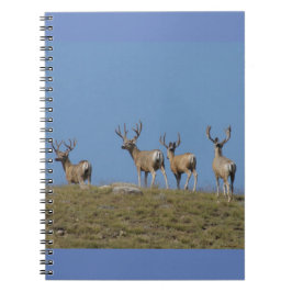 Caderno Espiral Veados-machos D9 em Veludo Silhuetados