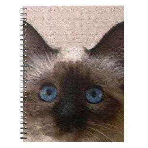 Caderno Espiral velho do crackle do gato siamese envelhecido