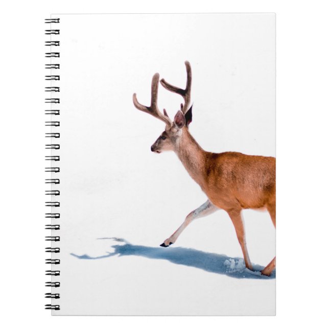 CADERNO ESPIRAL VELOCIDADE BRANCA NO FUNDO BRANCO (Frente)
