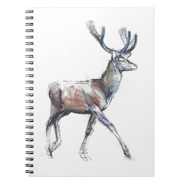 Caderno Espiral Veludo 2006 (Frente)