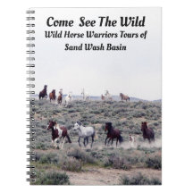 Venha Ver O Selvagem